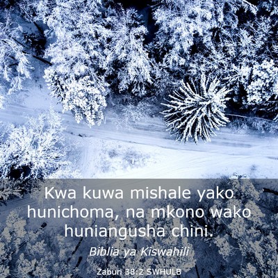 Picture 03 - Zaburi 38:2 SWHULB - Kwa kuwa mishale yako hunichoma, na mkono wako - Bible Verse Picture