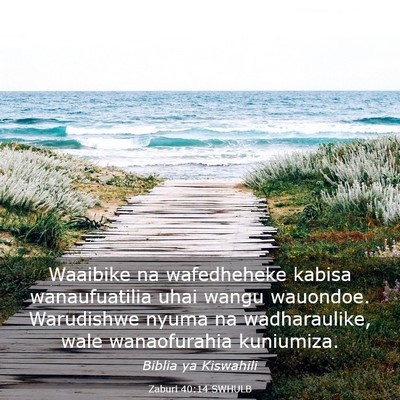 Picture 03 - Zaburi 40:14 SWHULB - Waaibike na wafedheheke kabisa wanaufuatilia uhai - Bible Verse Picture