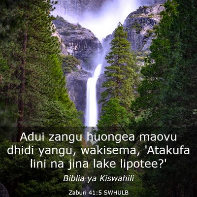 Picture 03 - Zaburi 41:5 SWHULB - Adui zangu huongea maovu dhidi yangu, wakisema, - Bible Verse Picture