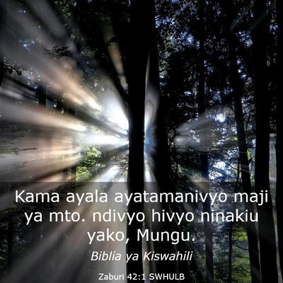 Picture 03 - Zaburi 42:1 SWHULB - Kama ayala ayatamanivyo maji ya mto. ndivyo hivyo - Bible Verse Picture