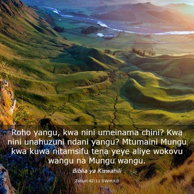 Picture 03 - Zaburi 42:11 SWHULB - Roho yangu, kwa nini umeinama chini? Kwa nini - Bible Verse Picture