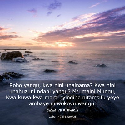 Picture 03 - Zaburi 42:5 SWHULB - Roho yangu, kwa nini unainama? Kwa nini unahuzuni - Bible Verse Picture