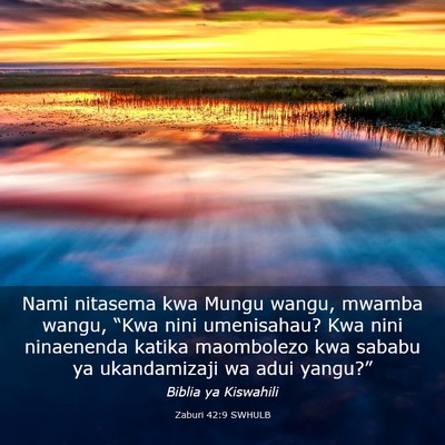 Picture 03 - Zaburi 42:9 SWHULB - Nami nitasema kwa Mungu wangu, mwamba wangu, - Bible Verse Picture
