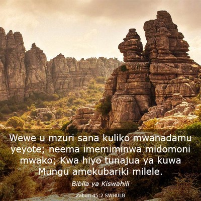Picture 03 - Zaburi 45:2 SWHULB - Wewe u mzuri sana kuliko mwanadamu yeyote; neema - Bible Verse Picture