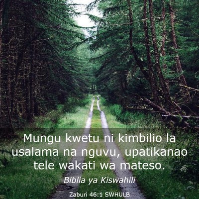 Picture 03 - Zaburi 46:1 SWHULB - Mungu kwetu ni kimbilio la usalama na nguvu, - Bible Verse Picture