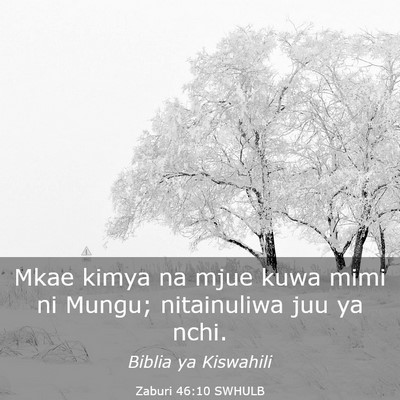 Picture 03 - Zaburi 46:10 SWHULB - Mkae kimya na mjue kuwa mimi ni Mungu; - Bible Verse Picture