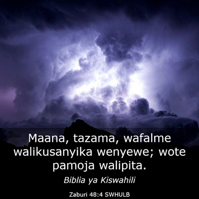 Picture 03 - Zaburi 48:4 SWHULB - Maana, tazama, wafalme walikusanyika wenyewe; - Bible Verse Picture
