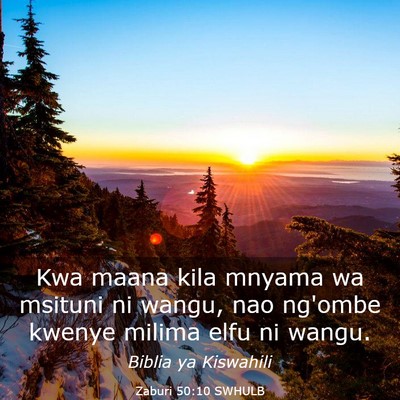 Picture 03 - Zaburi 50:10 SWHULB - Kwa maana kila mnyama wa msituni ni wangu, nao - Bible Verse Picture