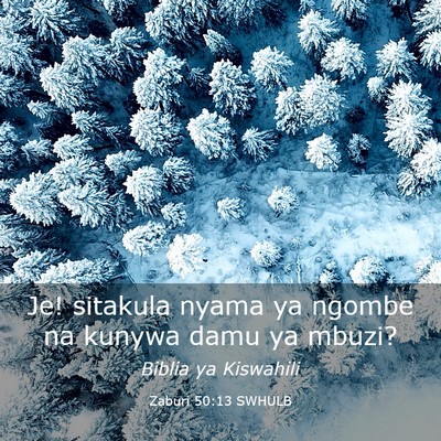 Picture 03 - Zaburi 50:13 SWHULB - Je! sitakula nyama ya ngombe na kunywa damu ya - Bible Verse Picture