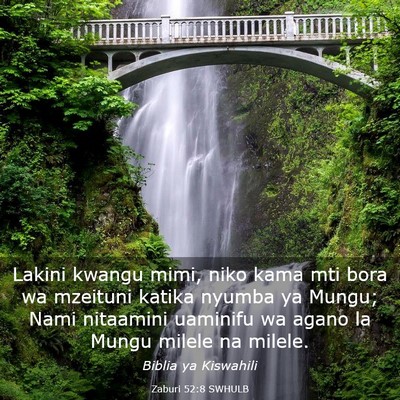 Picture 03 - Zaburi 52:8 SWHULB - Lakini kwangu mimi, niko kama mti bora wa - Bible Verse Picture