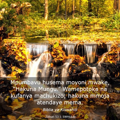 Picture 03 - Zaburi 53:1 SWHULB - Mpumbavu husema moyoni mwake, “Hakuna Mungu.” - Bible Verse Picture