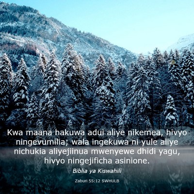 Picture 03 - Zaburi 55:12 SWHULB - Kwa maana hakuwa adui aliye nikemea, hivyo - Bible Verse Picture