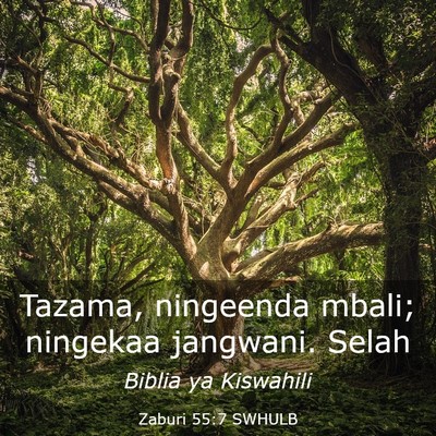 Picture 03 - Zaburi 55:7 SWHULB - Tazama, ningeenda mbali; ningekaa jangwani. - Bible Verse Picture