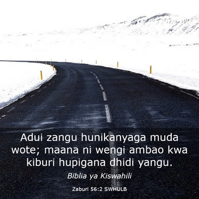 Picture 03 - Zaburi 56:2 SWHULB - Adui zangu hunikanyaga muda wote; maana ni wengi - Bible Verse Picture