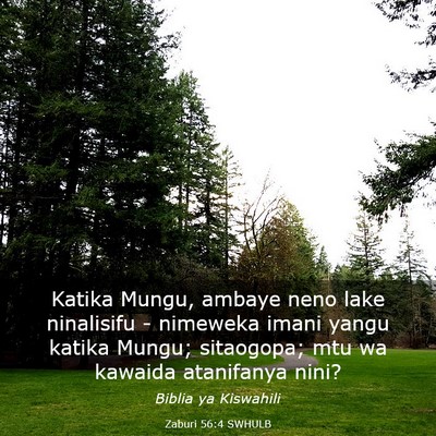 Picture 03 - Zaburi 56:4 SWHULB - Katika Mungu, ambaye neno lake ninalisifu - - Bible Verse Picture
