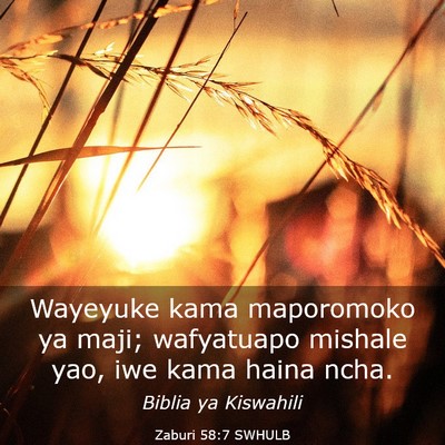 Picture 03 - Zaburi 58:7 SWHULB - Wayeyuke kama maporomoko ya maji; wafyatuapo - Bible Verse Picture