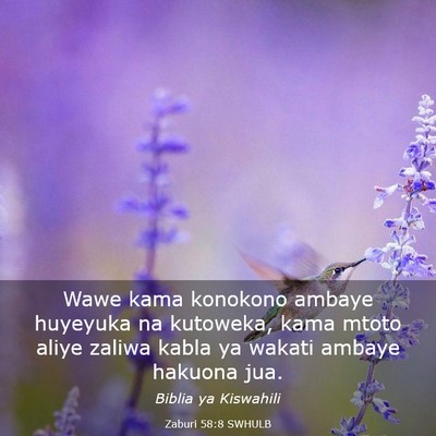 Picture 03 - Zaburi 58:8 SWHULB - Wawe kama konokono ambaye huyeyuka na kutoweka, - Bible Verse Picture