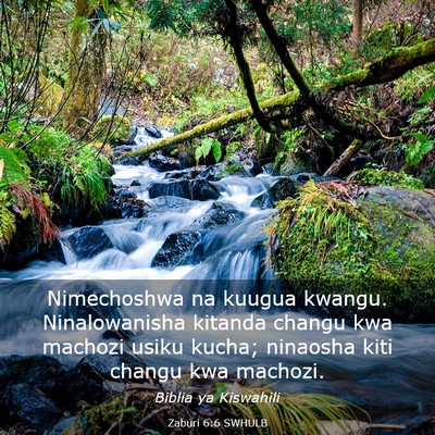 Picture 03 - Zaburi 6:6 SWHULB - Nimechoshwa na kuugua kwangu. Ninalowanisha - Bible Verse Picture