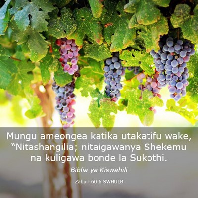 Picture 03 - Zaburi 60:6 SWHULB - Mungu ameongea katika utakatifu wake, - Bible Verse Picture