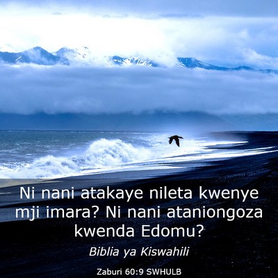 Picture 03 - Zaburi 60:9 SWHULB - Ni nani atakaye nileta kwenye mji imara? Ni nani - Bible Verse Picture