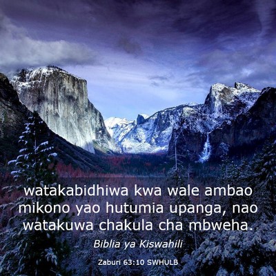 Picture 03 - Zaburi 63:10 SWHULB - watakabidhiwa kwa wale ambao mikono yao hutumia - Bible Verse Picture