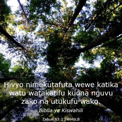 Picture 03 - Zaburi 63:2 SWHULB - Hivyo nimekutafuta wewe katika watu watakatifu - Bible Verse Picture