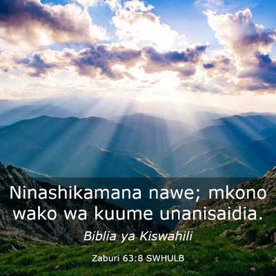 Picture 03 - Zaburi 63:8 SWHULB - Ninashikamana nawe; mkono wako wa kuume - Bible Verse Picture