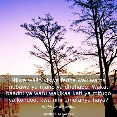 Picture 03 - Zaburi 68:13 SWHULB - Njiwa walio vikwa fedha wakiwa na mabawa ya njano - Bible Verse Picture