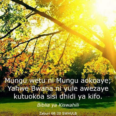 Picture 03 - Zaburi 68:20 SWHULB - Mungu wetu ni Mungu aokoaye; Yahwe Bwana ni yule - Bible Verse Picture