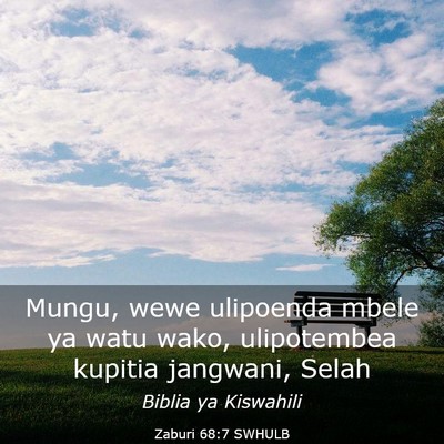 Picture 03 - Zaburi 68:7 SWHULB - Mungu, wewe ulipoenda mbele ya watu wako, - Bible Verse Picture