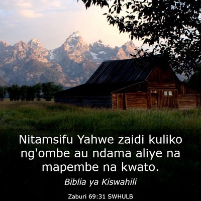 Picture 03 - Zaburi 69:31 SWHULB - Nitamsifu Yahwe zaidi kuliko ng'ombe au ndama - Bible Verse Picture