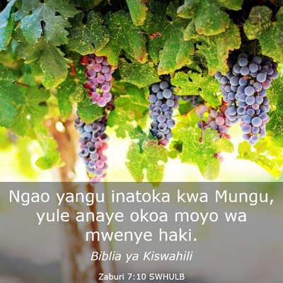 Picture 03 - Zaburi 7:10 SWHULB - Ngao yangu inatoka kwa Mungu, yule anaye okoa - Bible Verse Picture