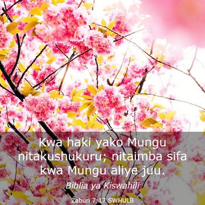Picture 03 - Zaburi 7:17 SWHULB - Kwa haki yako Mungu nitakushukuru; nitaimba sifa - Bible Verse Picture