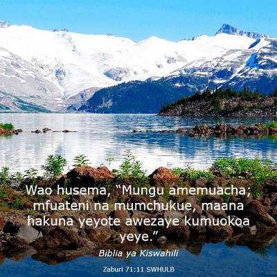 Picture 03 - Zaburi 71:11 SWHULB - Wao husema, “Mungu amemuacha; mfuateni na - Bible Verse Picture