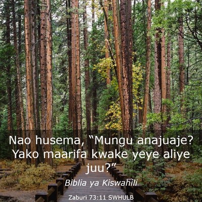 Picture 03 - Zaburi 73:11 SWHULB - Nao husema, “Mungu anajuaje? Yako maarifa kwake - Bible Verse Picture