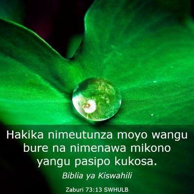 Picture 03 - Zaburi 73:13 SWHULB - Hakika nimeutunza moyo wangu bure na nimenawa - Bible Verse Picture