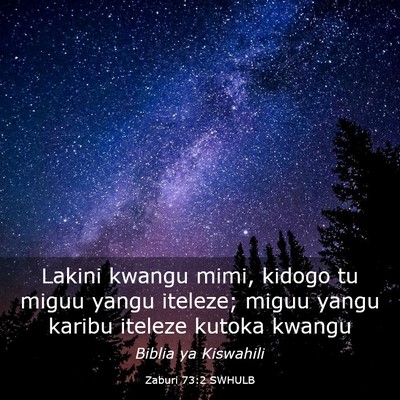 Picture 03 - Zaburi 73:2 SWHULB - Lakini kwangu mimi, kidogo tu miguu yangu - Bible Verse Picture