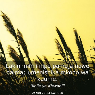 Picture 03 - Zaburi 73:23 SWHULB - Lakini mimi nipo pamoja nawe daima; umenishika - Bible Verse Picture
