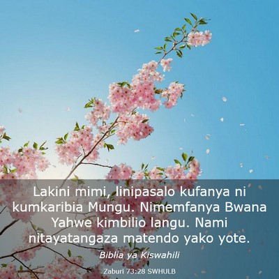 Picture 03 - Zaburi 73:28 SWHULB - Lakini mimi, linipasalo kufanya ni kumkaribia - Bible Verse Picture