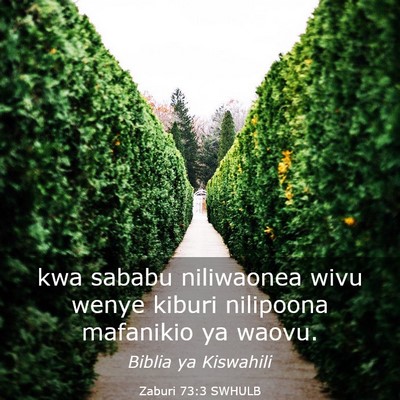 Picture 03 - Zaburi 73:3 SWHULB - kwa sababu niliwaonea wivu wenye kiburi nilipoona - Bible Verse Picture