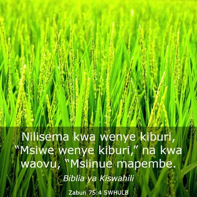 Picture 03 - Zaburi 75:4 SWHULB - Nilisema kwa wenye kiburi, “Msiwe wenye - Bible Verse Picture