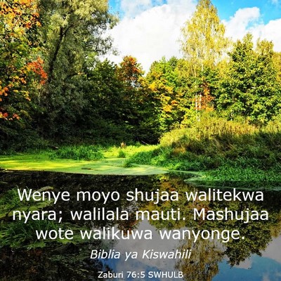 Picture 03 - Zaburi 76:5 SWHULB - Wenye moyo shujaa walitekwa nyara; walilala - Bible Verse Picture
