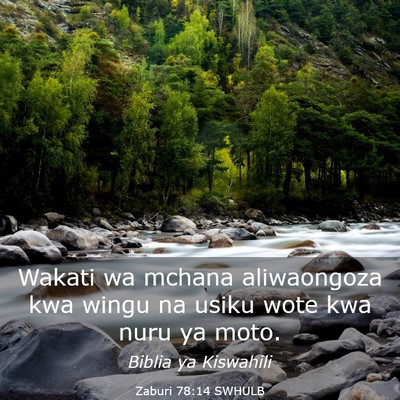 Picture 03 - Zaburi 78:14 SWHULB - Wakati wa mchana aliwaongoza kwa wingu na usiku - Bible Verse Picture