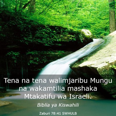Picture 03 - Zaburi 78:41 SWHULB - Tena na tena walimjaribu Mungu na wakamtilia - Bible Verse Picture