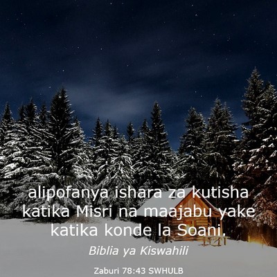 Picture 03 - Zaburi 78:43 SWHULB - alipofanya ishara za kutisha katika Misri na - Bible Verse Picture