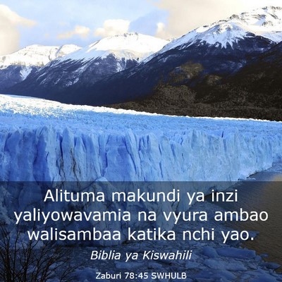 Picture 03 - Zaburi 78:45 SWHULB - Alituma makundi ya inzi yaliyowavamia na vyura - Bible Verse Picture