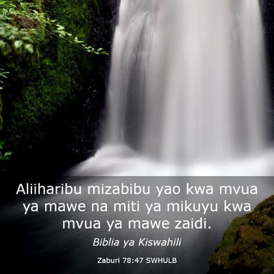 Picture 03 - Zaburi 78:47 SWHULB - Aliiharibu mizabibu yao kwa mvua ya mawe na miti - Bible Verse Picture