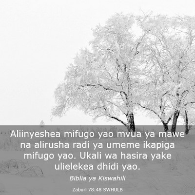 Picture 03 - Zaburi 78:48 SWHULB - Aliinyeshea mifugo yao mvua ya mawe na alirusha - Bible Verse Picture