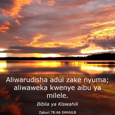 Picture 03 - Zaburi 78:66 SWHULB - Aliwarudisha adui zake nyuma; aliwaweka kwenye - Bible Verse Picture