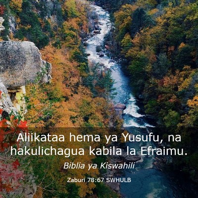 Picture 03 - Zaburi 78:67 SWHULB - Aliikataa hema ya Yusufu, na hakulichagua kabila - Bible Verse Picture